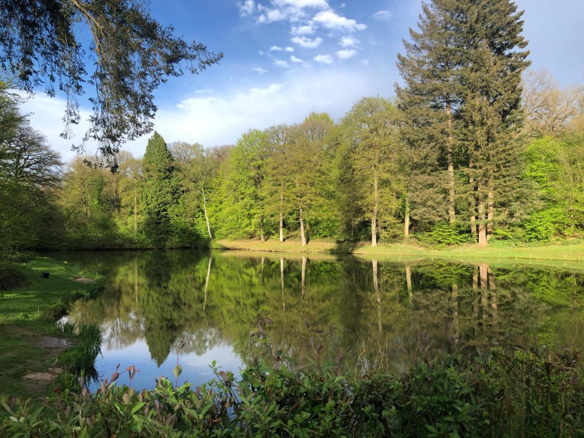 Le Temps D'Un Souffle - Gite Rural 3 Epis Sivry-Rance Esterno foto